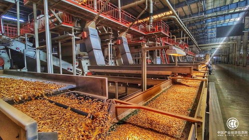 技術(shù)驅(qū)動(dòng)創(chuàng)新，智慧賦能發(fā)展——云南煙葉復(fù)烤有限責(zé)任公司楚雄復(fù)烤廠2021烤季生產(chǎn)任務(wù)圓滿完成