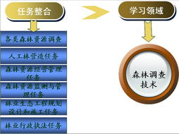 森林調(diào)查技術(shù)精品課程網(wǎng)站——歡迎您的光臨